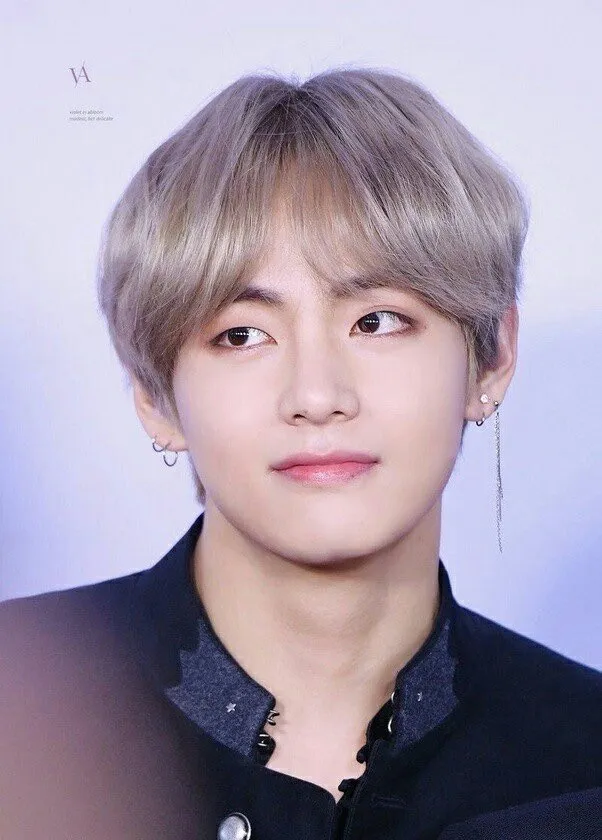 BTS V