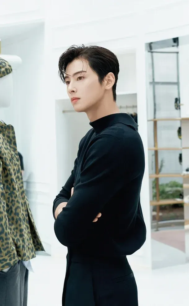 cha eun woo dior