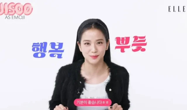 BLACKPINK Jisoo viaja tanto que fica sem páginas de passaporte?