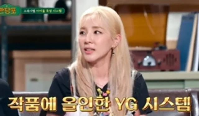 YG- und JYP-Idol-Entwicklungssysteme, veröffentlicht von 2NE1 Sandara Park und ITZY Chaeryeong