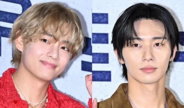 De BTS V à Park Seo Joon « Les stars souffrent de fans grossiers et trop zélés »