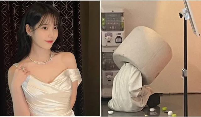 Los fans se encuentran con IU en la exhibición de su aniversario de debut, “Ella me dio su tarjeta para comprar productos”