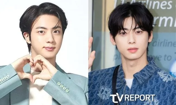 Imágenes de “Jin y Cha Eun Woo” que los hombres coreanos traen antes de la cirugía plástica