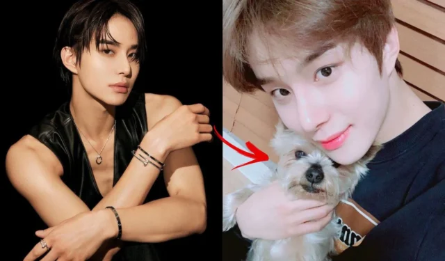 Il lacrimoso tributo di Jungwoo degli NCT al suo amato compagno: la toccante storia di 15 anni insieme