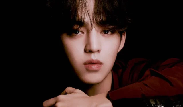 SEVENTEEN S Coups Surgery Update: l’agenzia condivide il trionfo e la strada verso la piena ripresa