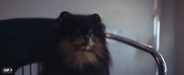 Yeontan