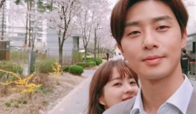 La dichosa vida cotidiana de los recién casados ​​Park Seojoon y Park Boyoung (Utopía concreta)