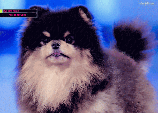 Yeontan