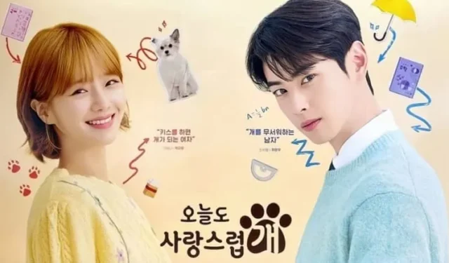 Revelado o pôster sonhador de três pessoas para “A Good Day to Be a Dog” com Cha Eun Woo, Park Gyu Young e Lee Hyun Woo