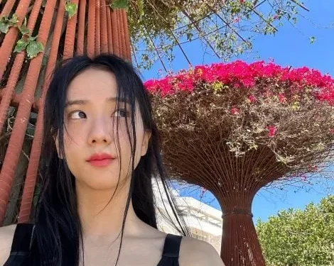 Jisoo também não conseguiu ingresso para o show do BLACKPINK em Seul