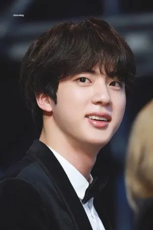 bts Jin