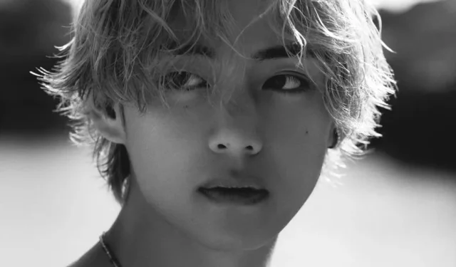 Moda “Slow Dancing” dei BTS V: abiti rilassati di Idol che puoi mettere in valigia per il tuo viaggio di vacanza!