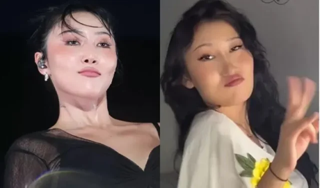 El Uncanny Doppelganger de Hwasa arrasa en TikTok