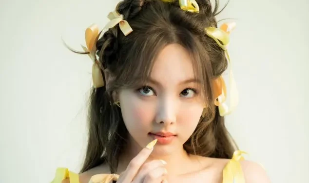 K-Netizens kommentieren die Kritik an TWICE Nayeon, nachdem sie die Kreditklage gewonnen haben