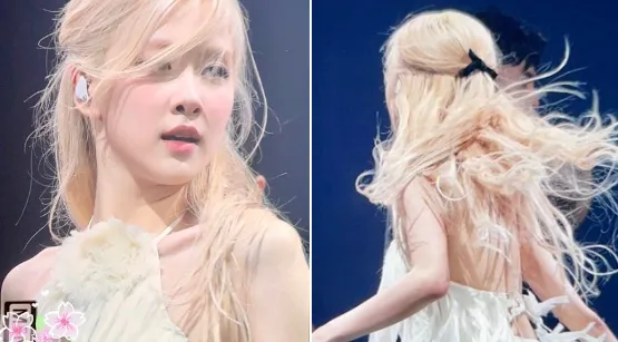 K-Netizens reagieren auf Fansite-Fotos von Rosé beim BLACKPINK Gocheok-Konzert