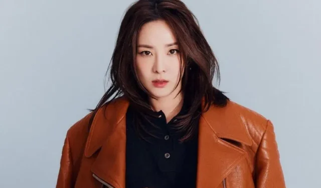 Sandara Park 談到她的個人復出，“我仍然處於虧損狀態，剛剛超過收支平衡點”