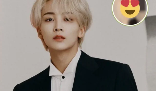 DICIASSETTE Jeonghan rivela una cotta segreta per un’idol: indovina chi