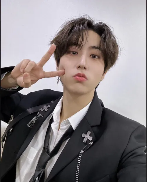 Stray Kids Han