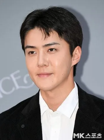 EXO Sehun ze swoimi eleganckimi wizualizacjami