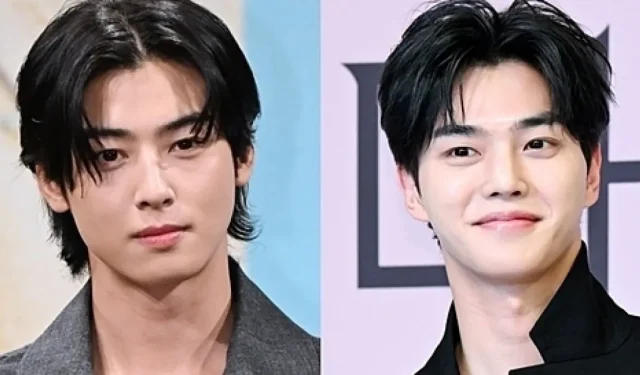 Cha Eun Woo & Song Kang: actores cuyas imágenes eclipsan sus habilidades de actuación 