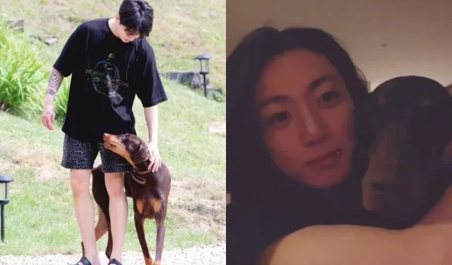 BTS Jungkook beantwortet während einer Live-Übertragung eine seltsame Frage zu seinem Hund