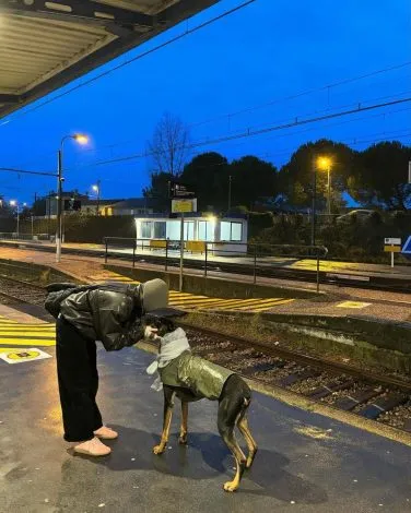 リサ・ブラックピンクと犬