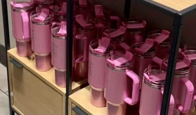 Polícia alerta compradores sobre “golpes” do Starbucks Stanley Cup na Internet