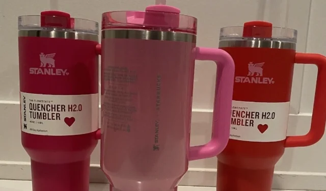 Las tazas Stanley rosas virales están a la venta por $ 500 en eBay y la gente está confundida