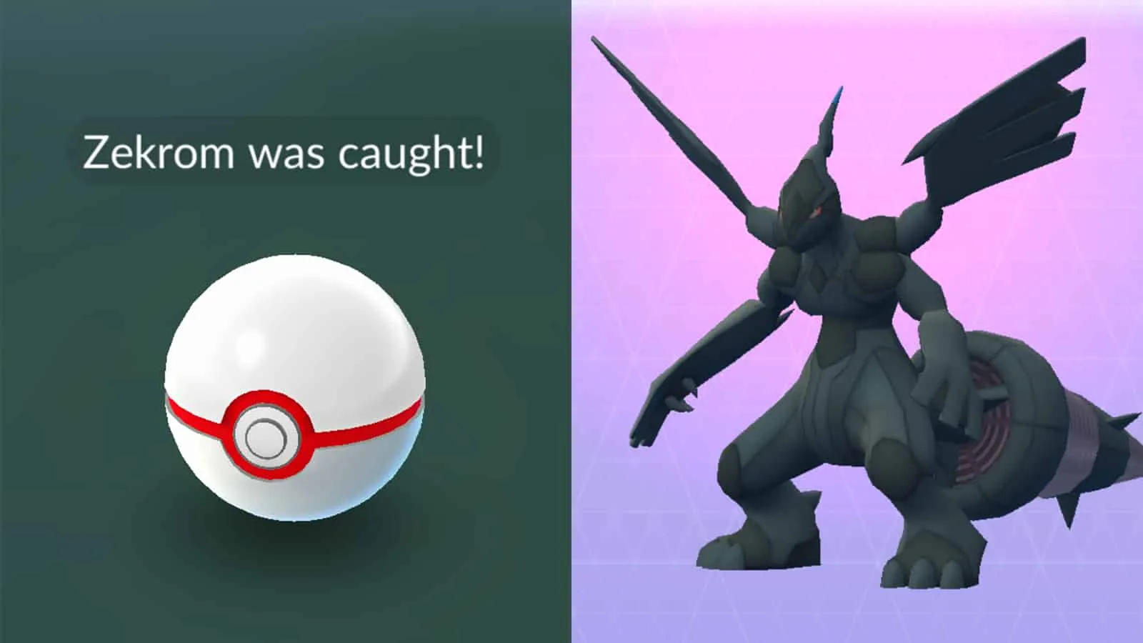 Le légendaire Zekrom apparaissant dans Pokemon Go