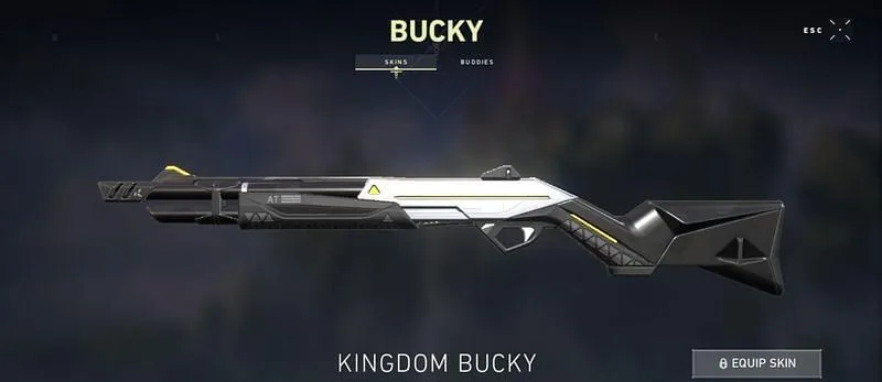 Regno Bucky Valorant