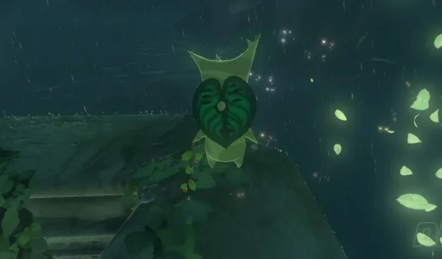 Zelda : Tears Of The Kingdom – Emplacements de Korok Seed