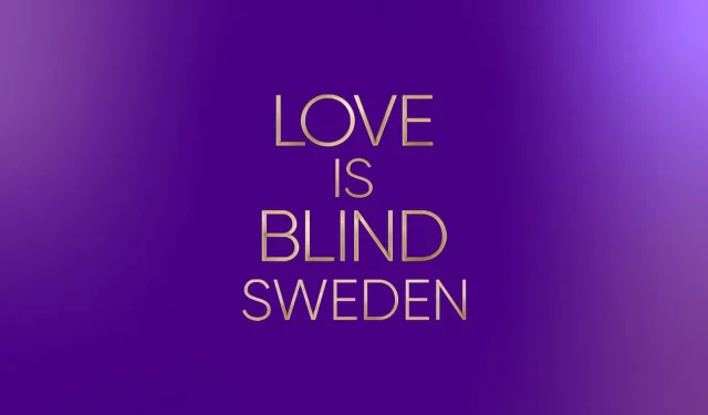 Love Is Blind Svezia Stagione 1: Quali coppie stanno ancora insieme?