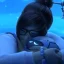 Giocatori di Overwatch 2 umiliati dalla risposta di un dipendente Blizzard alla “tossicità”