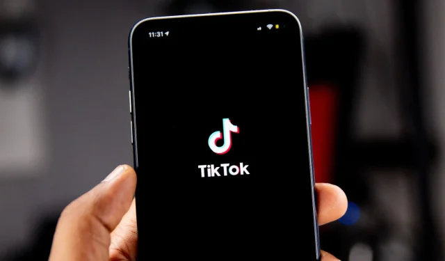 2023년 TikTok 사용자는 앱에 100억 달러 이상을 지출했습니다.