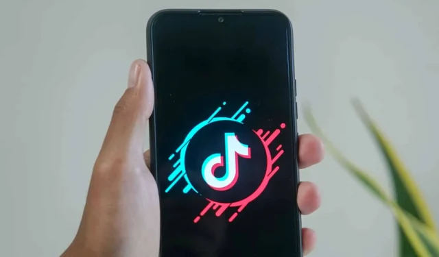 Cosa significa “ermetico” su TikTok?