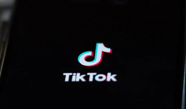 Was ist der Vorfall vom 22. Dezember auf TikTok?