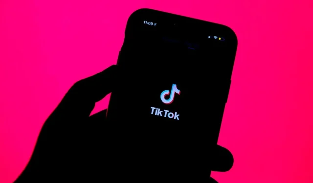 TikTok 俚語解釋：FYP、POV、PFP——它們是什麼意思？