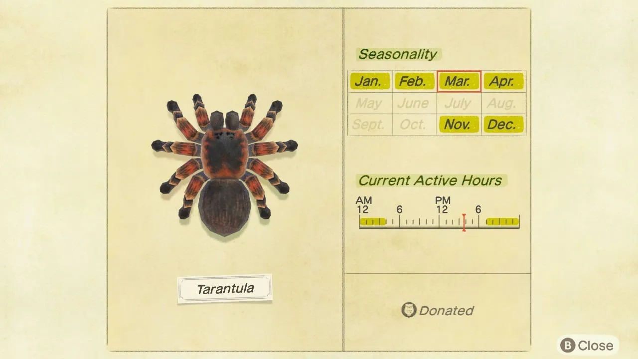 Tarántulas de cruce de animales