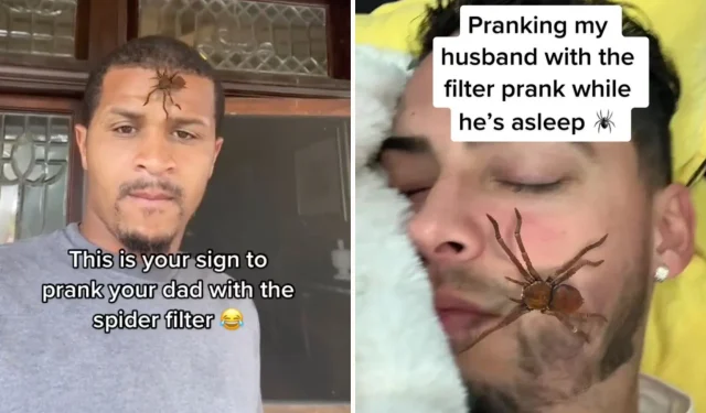 Como fazer a pegadinha do filtro de aranha viral no TikTok