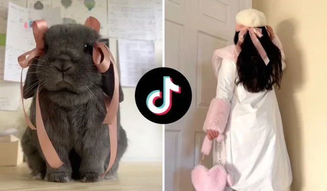 O que significa ‘coquete’ no TikTok? A tendência do laço rosa se torna viral