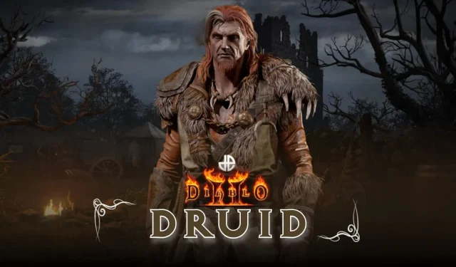 Diablo 2 Druid: Beste Builds in Resurrected Staffel 5