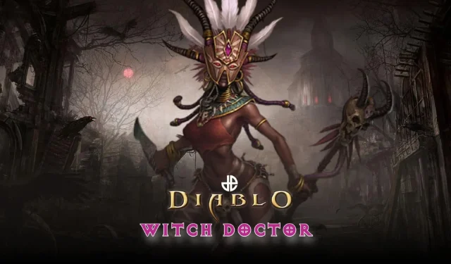 Beste Diablo 3 Witch Doctor Builds: Staffel 30