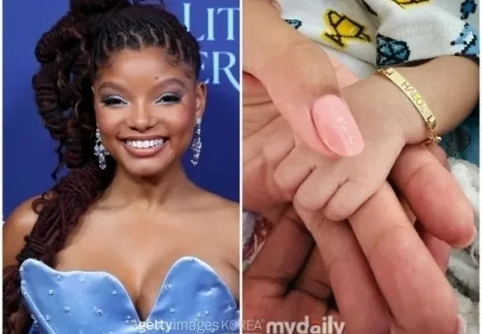 “A Pequena Sereia” Halle Bailey respondeu ao comentário de ódio, “Never Lied” sobre a gravidez 