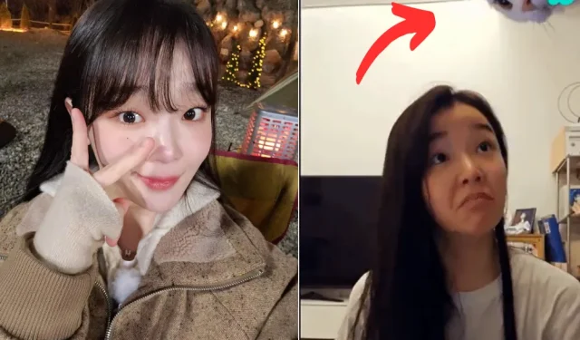 OH MY GIRL Transmissão ao vivo de Seunghee sequestrada pelo convidado mais adorável – ‘Eu não posso escapar, eles estão…’