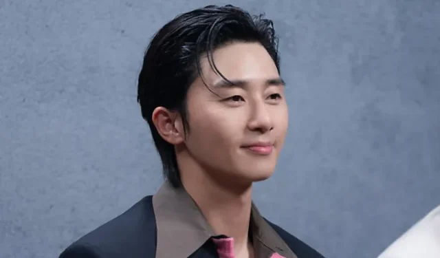 Kann Park Seo-joon als gutaussehender Schauspieler angesehen werden?