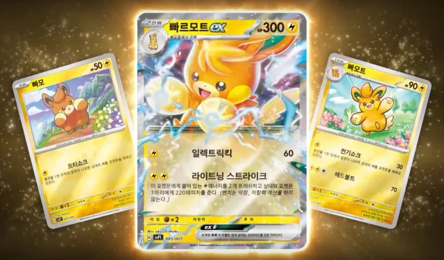 韓国のポケモンカードに投資する価値はありますか?