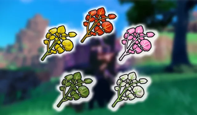 Comment cultiver Herba Mystica dans Pokemon Scarlet & Violet