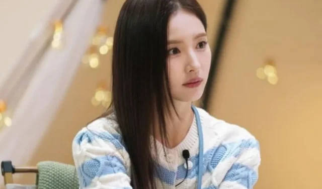 Shin Se-kyung zieht Bemerkungen zum Singlebleiben und Idealtyp zurück: „Ich kann immer noch nicht glauben, dass ich das gesagt habe! Ich war zu jung“