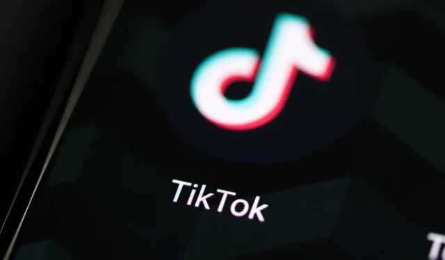 TikTok Wrapped 2024：如何取得 TikTok 包裹統計數據