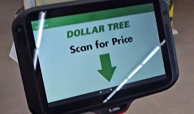 Die Kunden von Dollar Tree waren empört, als die Preise weit über 1 Dollar stiegen